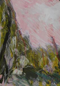 Clay Cliffs Study