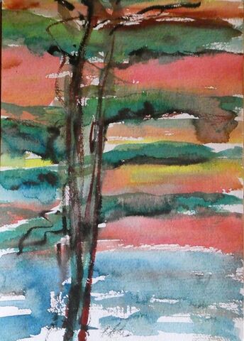 Devon trees