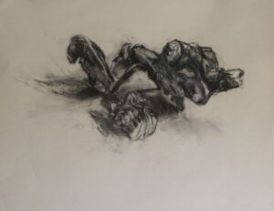 Driftwood and shell