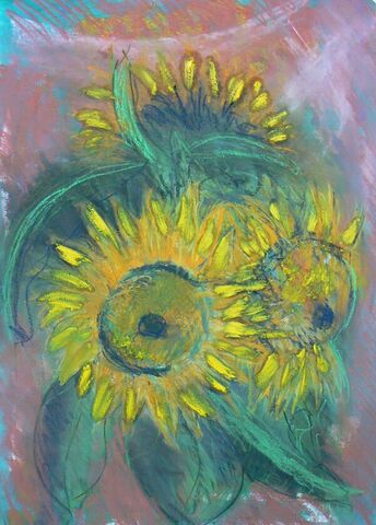 Dying sunflowers