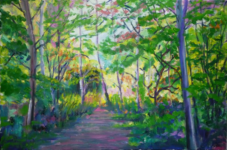 Walk in the woods pathway