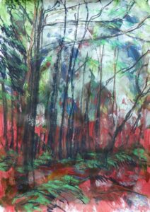 Walk in the woods study