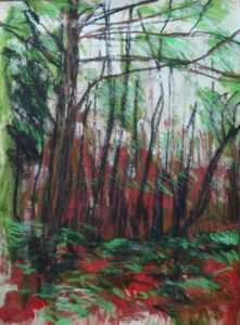 Walk in the woods study